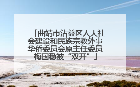 曲靖市沾益区人大社会建设和民族宗教外事华侨委员会原主任委员梅国稳被“双开”