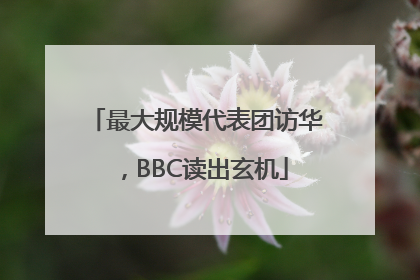 最大规模代表团访华，BBC读出玄机