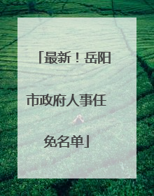 最新！岳阳市政府人事任免名单