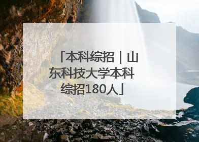 本科综招｜山东科技大学本科综招180人
