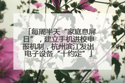 每周半天“家庭息屏日”，建立手机进校申报机制，杭州滨江发出电子设备“十约定”