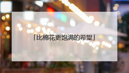 比棉花更饱满的希望