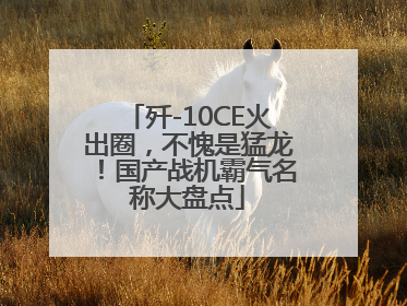 歼-10CE火出圈，不愧是猛龙！国产战机霸气名称大盘点