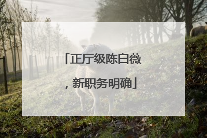 正厅级陈白薇，新职务明确