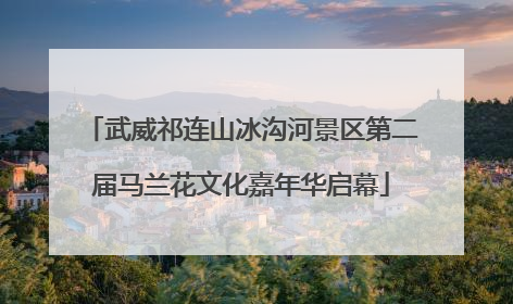 武威祁连山冰沟河景区第二届马兰花文化嘉年华启幕