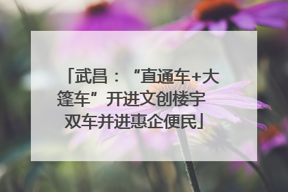 武昌：“直通车+大篷车”开进文创楼宇 双车并进惠企便民