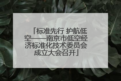 标准先行 护航低空——南京市低空经济标准化技术委员会成立大会召开