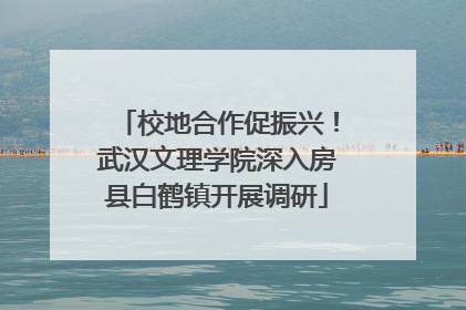 校地合作促振兴！武汉文理学院深入房县白鹤镇开展调研