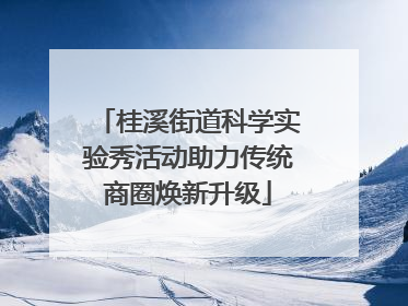 桂溪街道科学实验秀活动助力传统商圈焕新升级