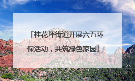 桂花坪街道开展六五环保活动，共筑绿色家园