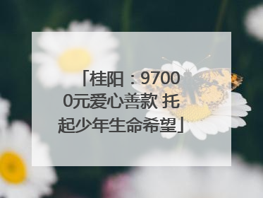 桂阳：97000元爱心善款 托起少年生命希望