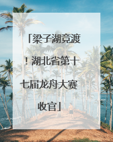 梁子湖竞渡！湖北省第十七届龙舟大赛收官