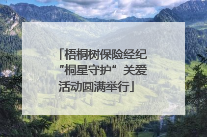 梧桐树保险经纪“桐星守护”关爱活动圆满举行