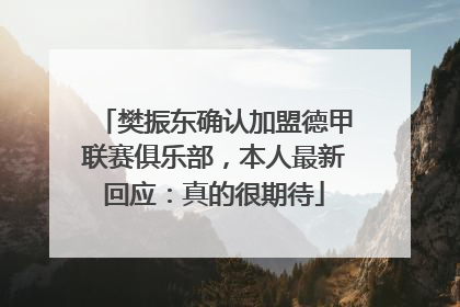 樊振东确认加盟德甲联赛俱乐部，本人最新回应：真的很期待