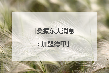 樊振东大消息：加盟德甲