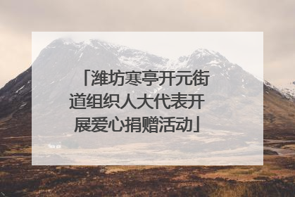 潍坊寒亭开元街道组织人大代表开展爱心捐赠活动