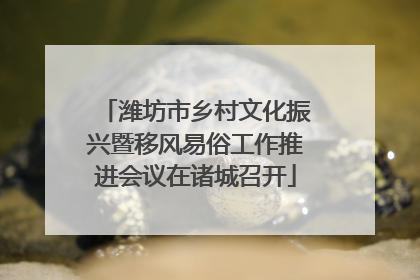 潍坊市乡村文化振兴暨移风易俗工作推进会议在诸城召开