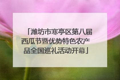 潍坊市寒亭区第八届西瓜节暨优势特色农产品全国巡礼活动开幕