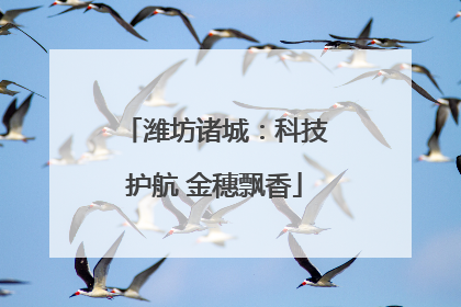 潍坊诸城：科技护航 金穗飘香