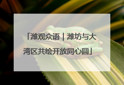 潍观众语｜潍坊与大湾区共绘开放同心圆