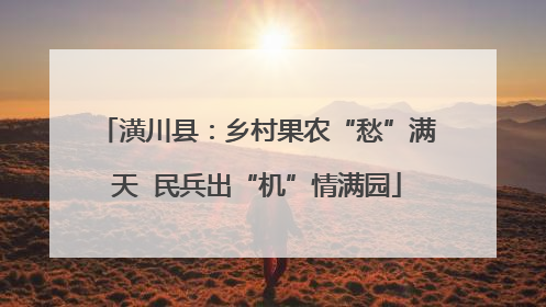 潢川县：乡村果农“愁”满天  民兵出“机”情满园