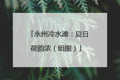 永州冷水滩：夏日荷韵浓（组图）