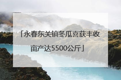 永春东关镇冬瓜喜获丰收 亩产达5500公斤