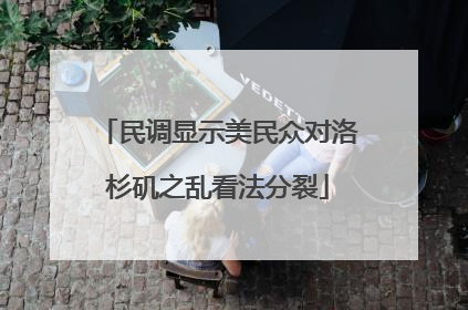 民调显示美民众对洛杉矶之乱看法分裂
