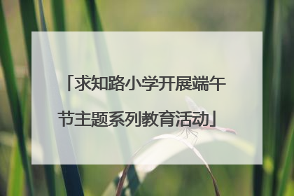 求知路小学开展端午节主题系列教育活动