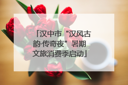 汉中市“汉风古韵·传奇夜”暑期文旅消费季启动