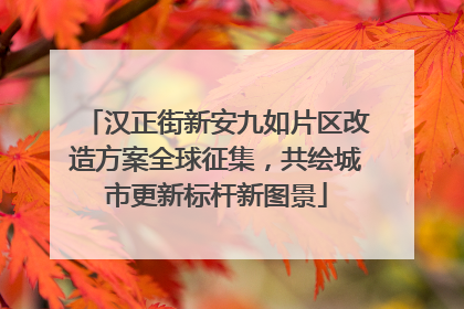 汉正街新安九如片区改造方案全球征集，共绘城市更新标杆新图景