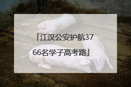 江汉公安护航3766名学子高考路