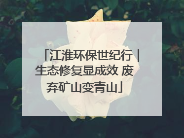 江淮环保世纪行｜生态修复显成效 废弃矿山变青山