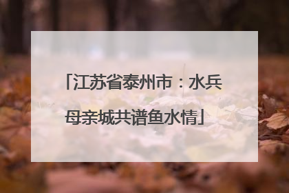 江苏省泰州市：水兵母亲城共谱鱼水情