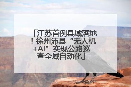 江苏首例县域落地！徐州沛县“无人机+AI”实现公路巡查全域自动化