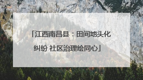 江西南昌县：田间地头化纠纷 社区治理绘同心