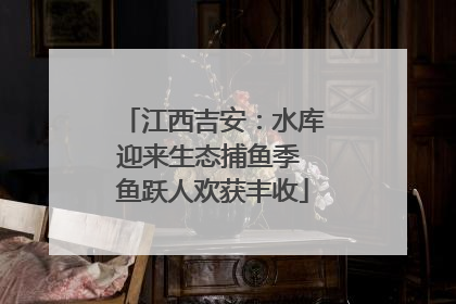 江西吉安：水库迎来生态捕鱼季 鱼跃人欢获丰收