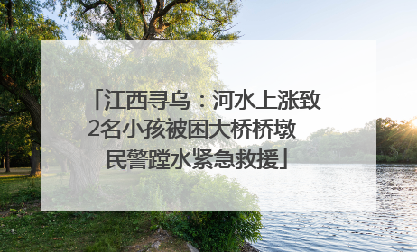 江西寻乌：河水上涨致2名小孩被困大桥桥墩 民警蹚水紧急救援