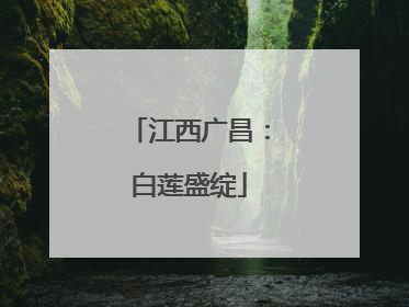 江西广昌：白莲盛绽