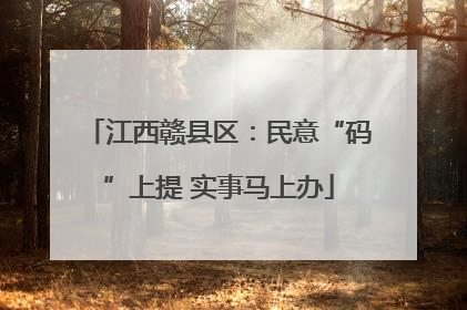 江西赣县区：民意“码”上提 实事马上办
