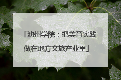 池州学院：把美育实践做在地方文旅产业里