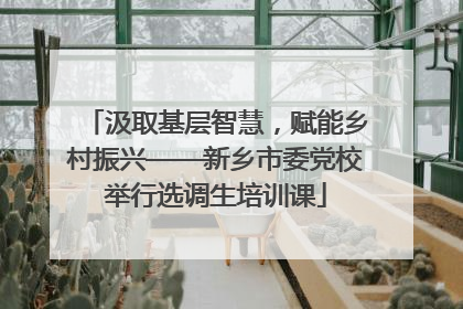 汲取基层智慧，赋能乡村振兴——新乡市委党校举行选调生培训课