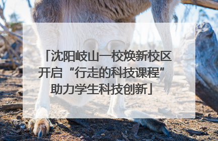沈阳岐山一校焕新校区开启“行走的科技课程”助力学生科技创新