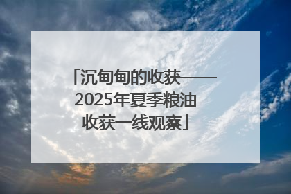 沉甸甸的收获——2025年夏季粮油收获一线观察