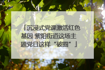 沉浸式党课激活红色基因 紫阳街道这场主题党日这样“破圈”