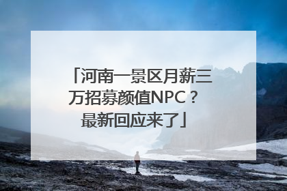 河南一景区月薪三万招募颜值NPC？最新回应来了
