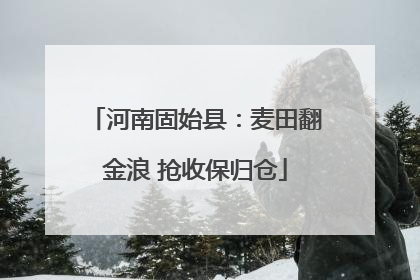河南固始县：麦田翻金浪 抢收保归仓