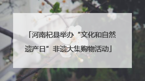 河南杞县举办“文化和自然遗产日”非遗大集购物活动