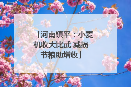 河南镇平：小麦机收大比武 减损节粮助增收