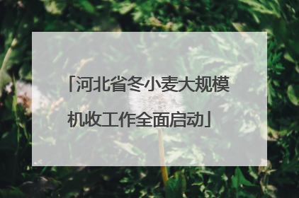 河北省冬小麦大规模机收工作全面启动